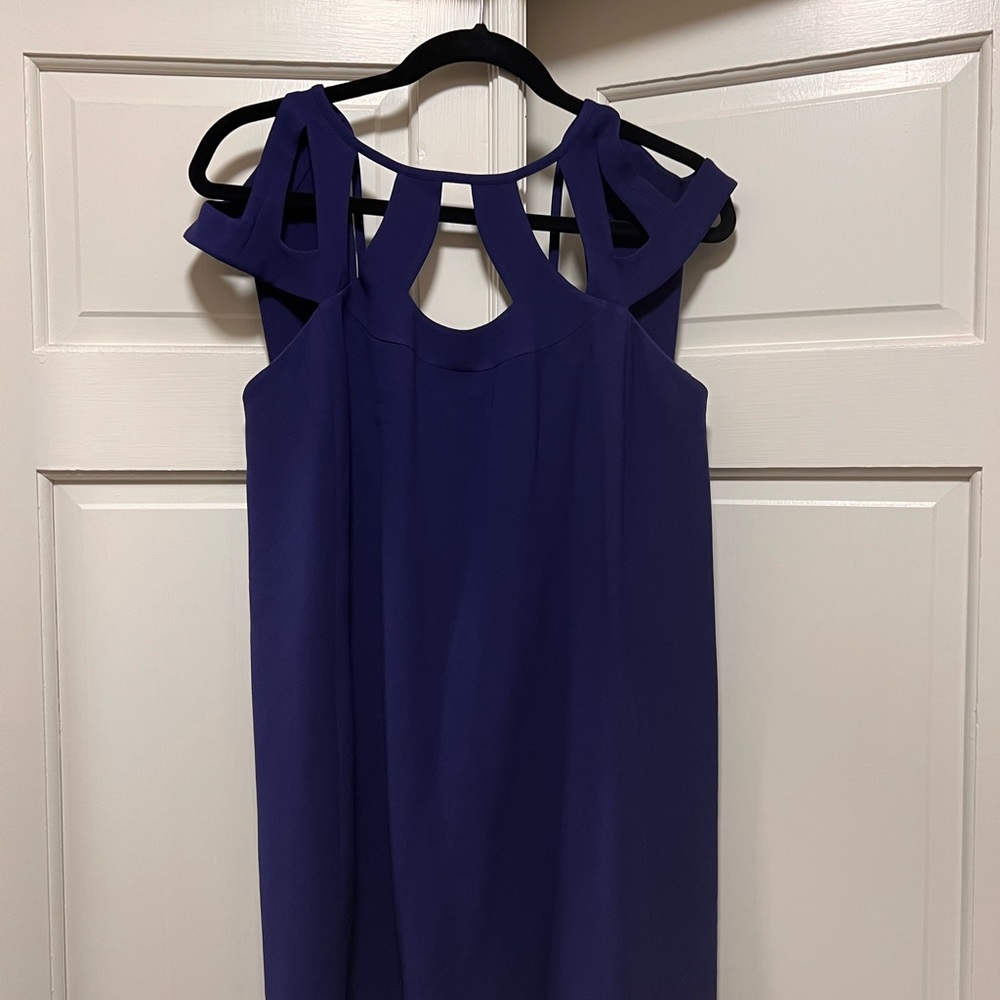 Deep purple/blue dress